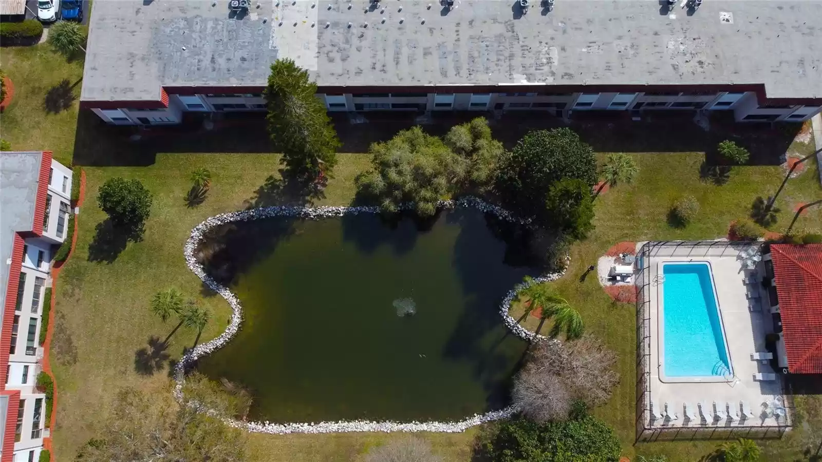 Pond Aerial