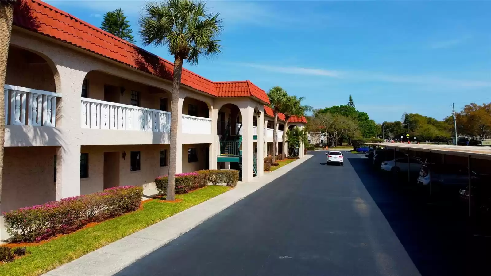 Belleair Forest Manor Condominiums