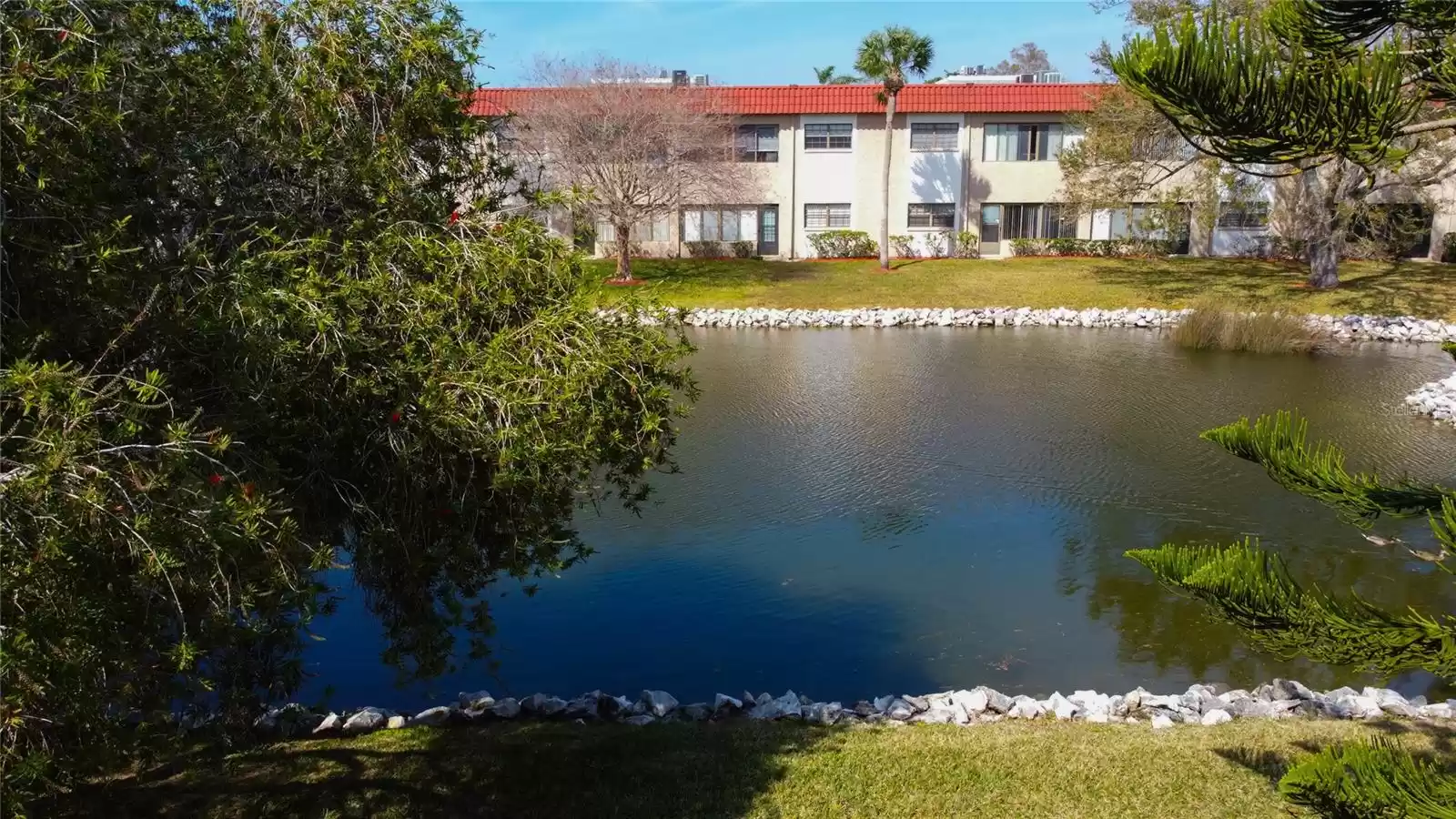 View of Pond