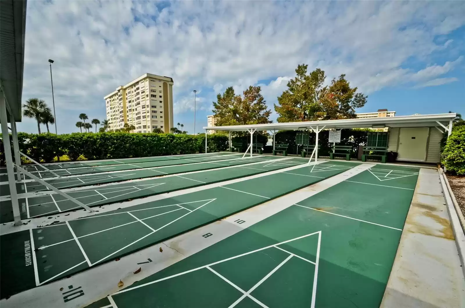 Shuffleboard