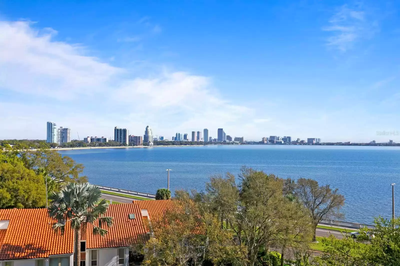 3401 BAYSHORE BOULEVARD, TAMPA, Florida 33629, 3 Bedrooms Bedrooms, ,3 BathroomsBathrooms,Residential,For Sale,BAYSHORE,MFRT3510165