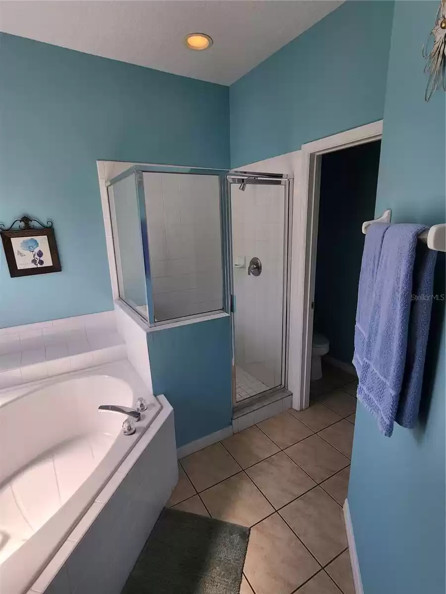 2605 EMERALD ISLAND BOULEVARD, KISSIMMEE, Florida 34747, 7 Bedrooms Bedrooms, ,4 BathroomsBathrooms,Residential,For Sale,EMERALD ISLAND,MFRS5084627