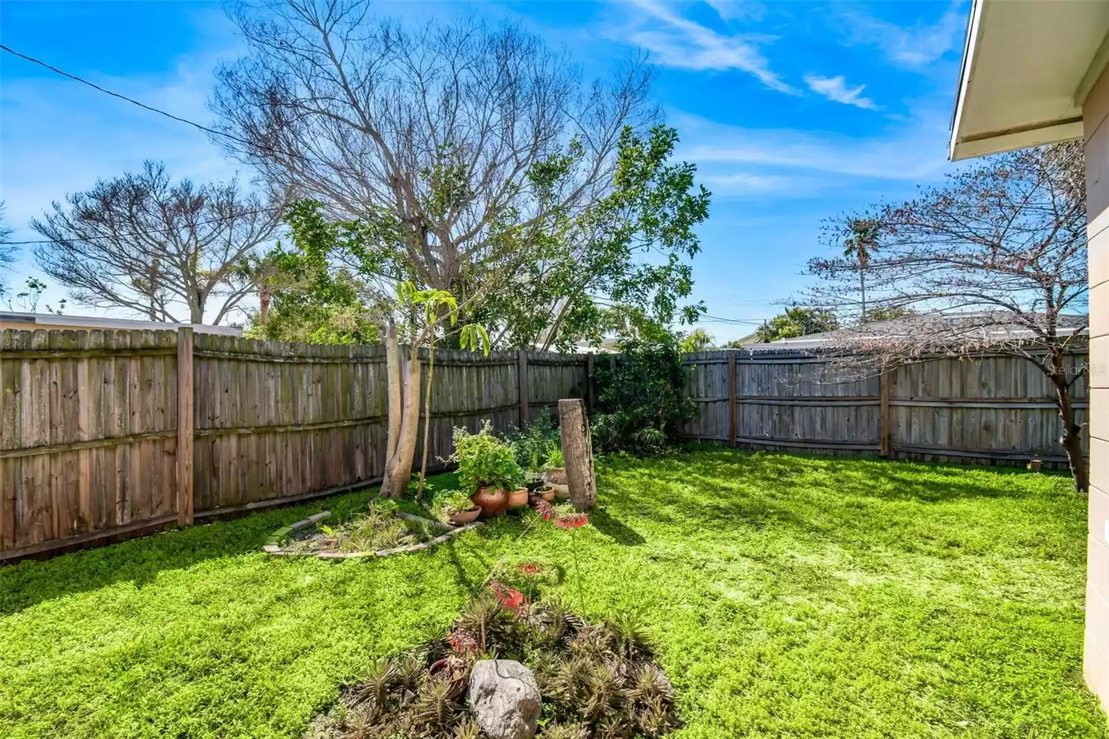 Butterly garden and Moringa tree