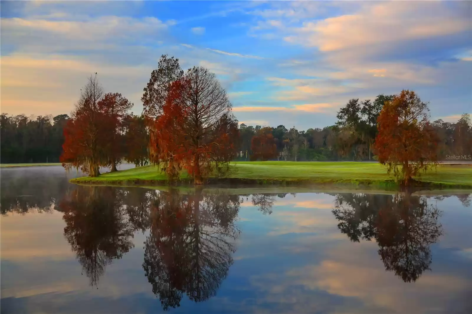 Four golf courses