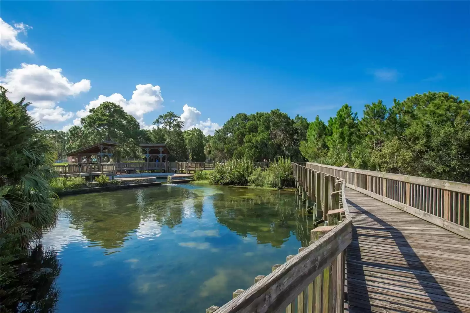 Natural spring and beautiful walking trails in Wall Springs Park.