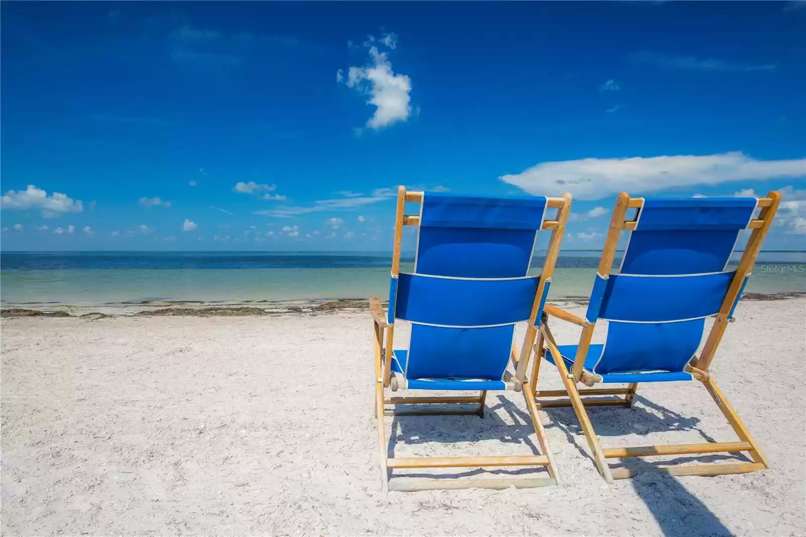 Fred Howard Park beach