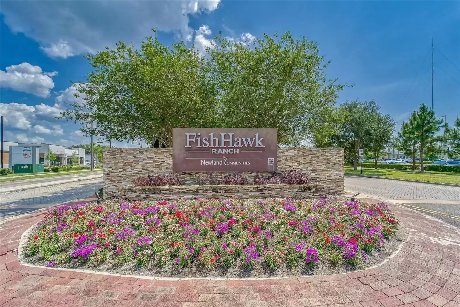 5911 CIRCA FISHHAWK BOULEVARD, LITHIA, Florida 33547, 6 Bedrooms Bedrooms, ,4 BathroomsBathrooms,Residential,For Sale,CIRCA FISHHAWK,MFRT3509113