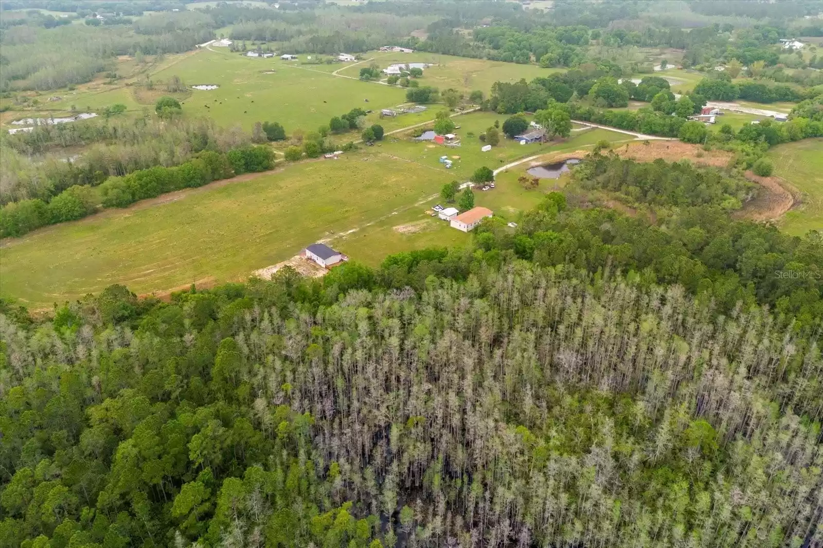 9128 FLORIDA BOYS RANCH ROAD, CLERMONT, Florida 34711, 4 Bedrooms Bedrooms, ,2 BathroomsBathrooms,Residential,For Sale,FLORIDA BOYS RANCH,MFRG5079942