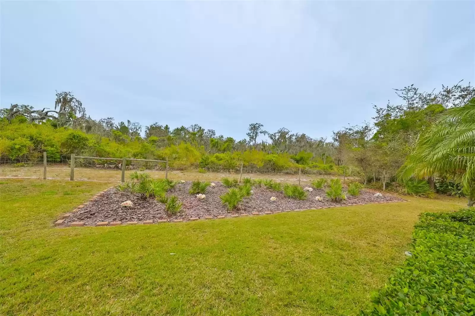 Backyard view of the home which backs up to a conservation area so you don't have to worry about neighbors!