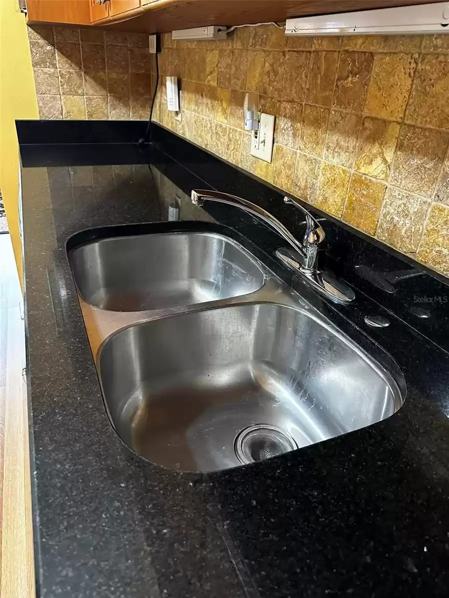 Granite Counter top/double stainless steel sink Disposal