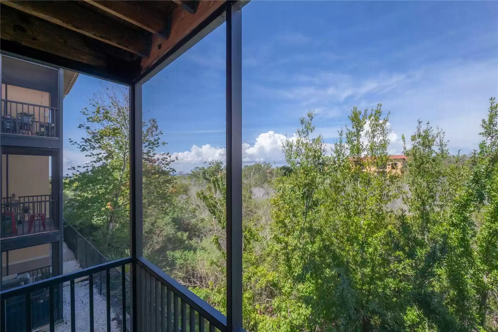 Balcony View (Mangroves from the Pam Callahan Nature Preserve cover the view of the Bay)