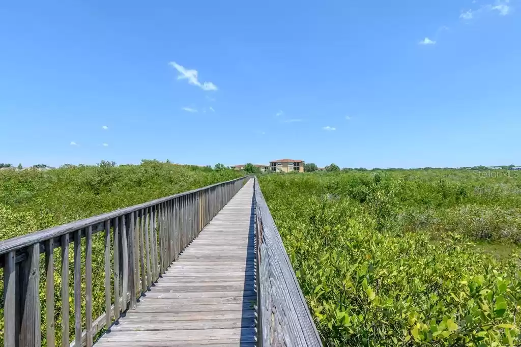 Boardwalk