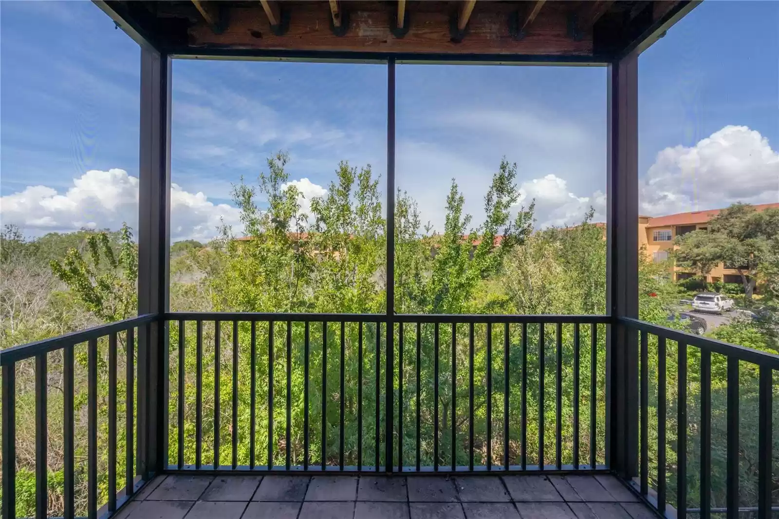 Balcony View (mangroves cover the Bay view)