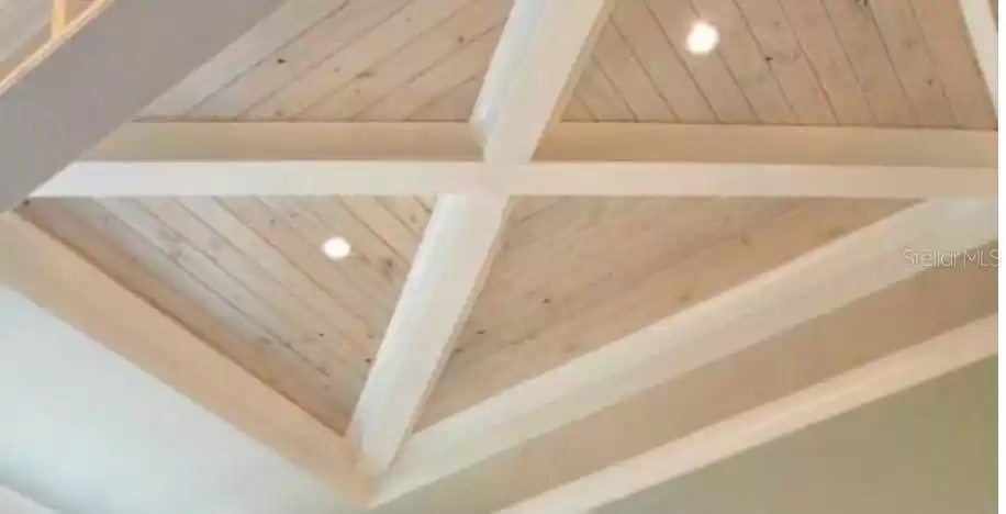 Owner's Suite ceiling inspo