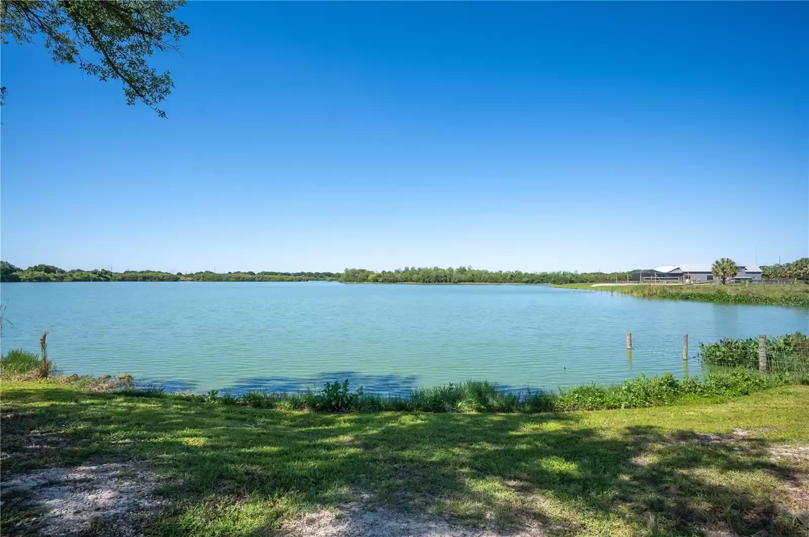 5.05 Acre Lakefront Estate