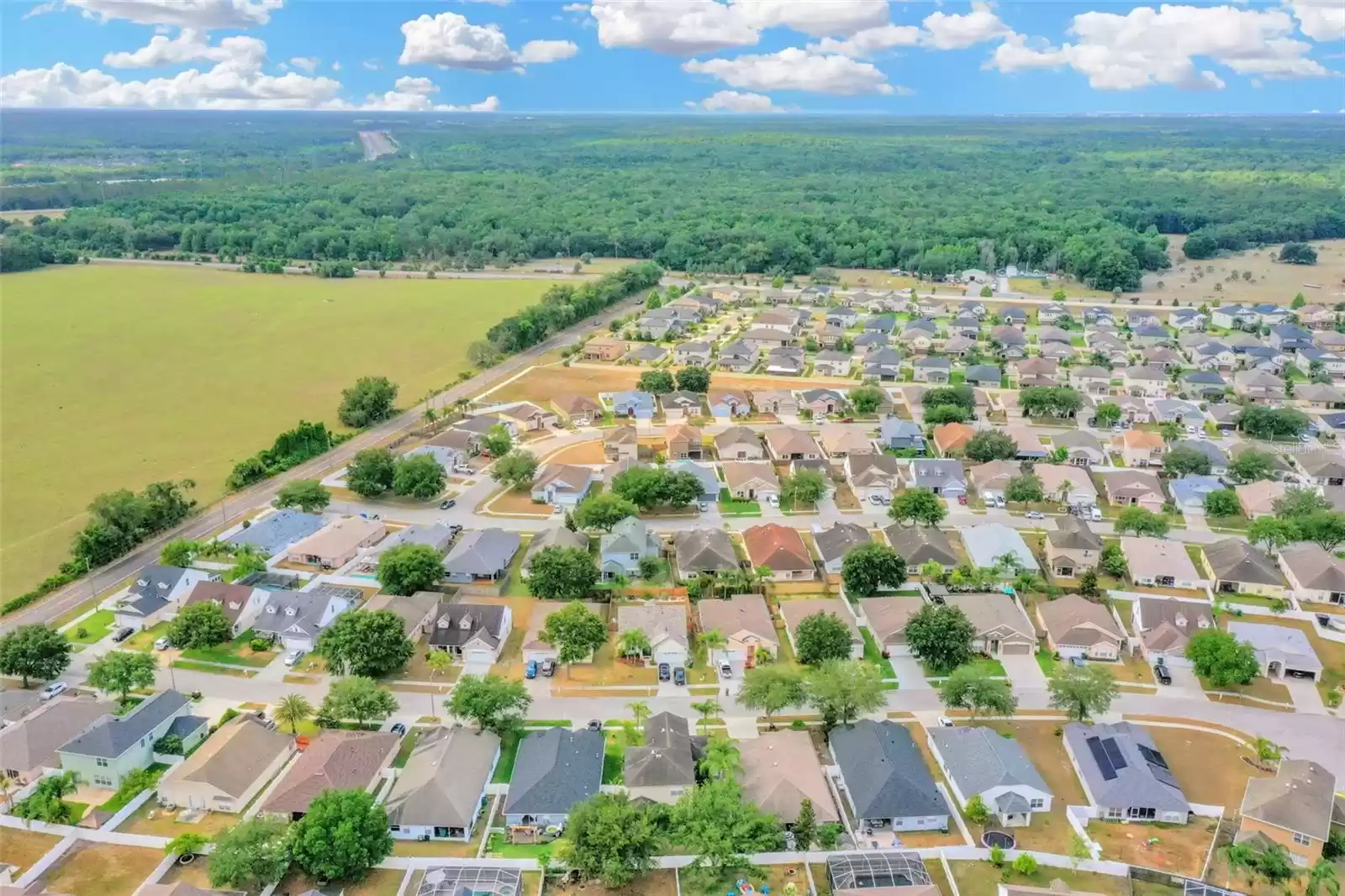 24911 OAKHAVEN COURT, LUTZ, Florida 33559, 3 Bedrooms Bedrooms, ,2 BathroomsBathrooms,Residential,For Sale,OAKHAVEN,MFRW7863500