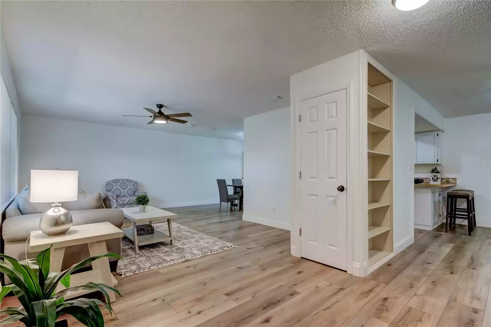 Foyer looking into living room