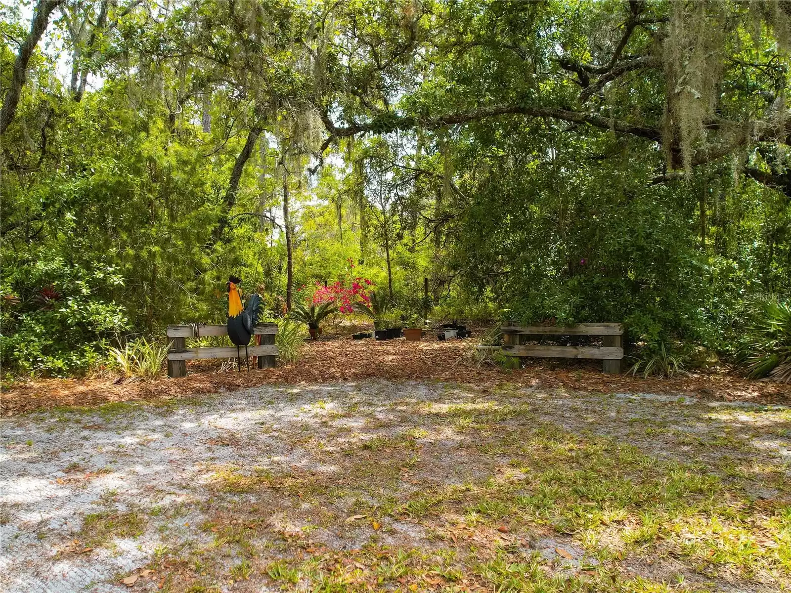 Pet cemetery