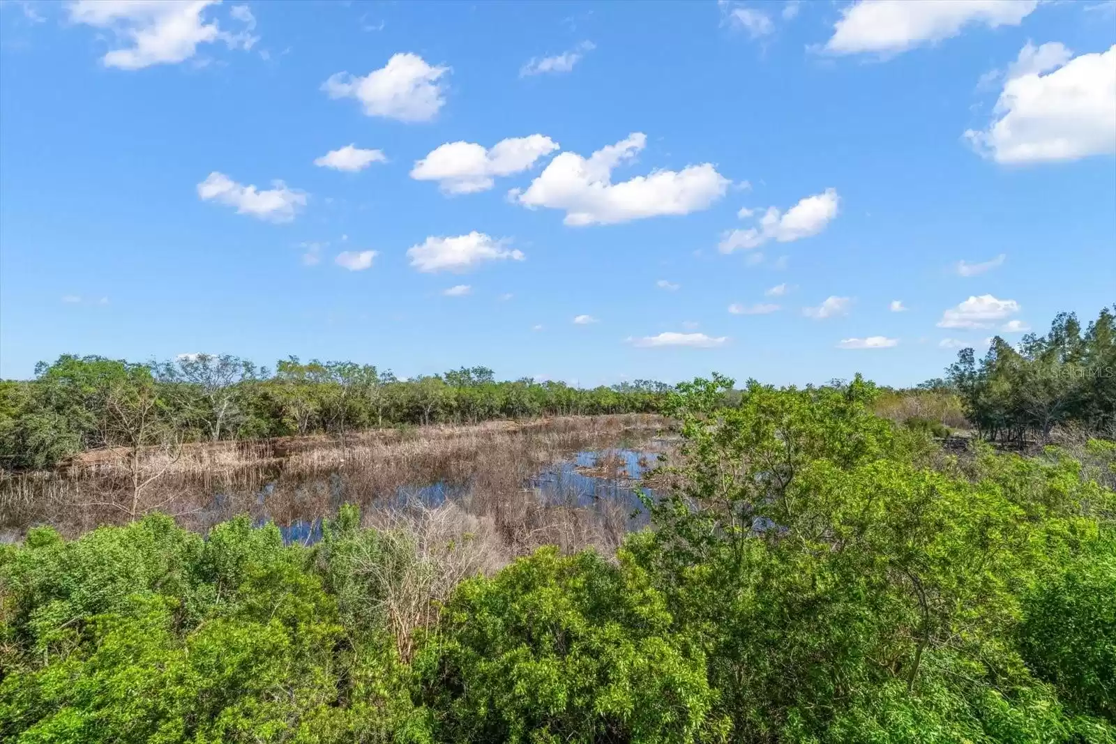 THE BEAUTIFUL VIEW, WHERE YOU WILL SEE SO MANY DIFFERENT SPECIES OF BIRDS.  IT TRULY IS SPECTACULAR TO WATCH.