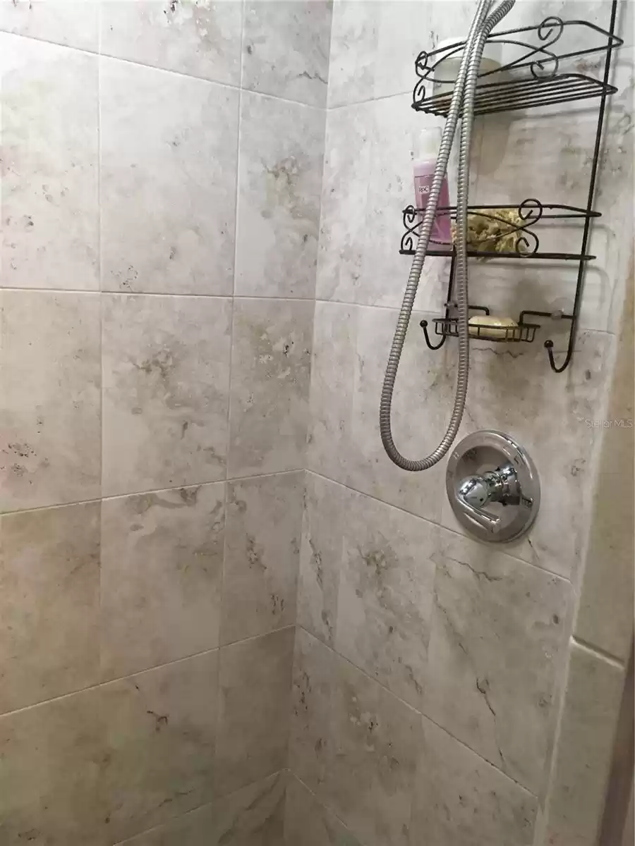 Primary bathroom shower