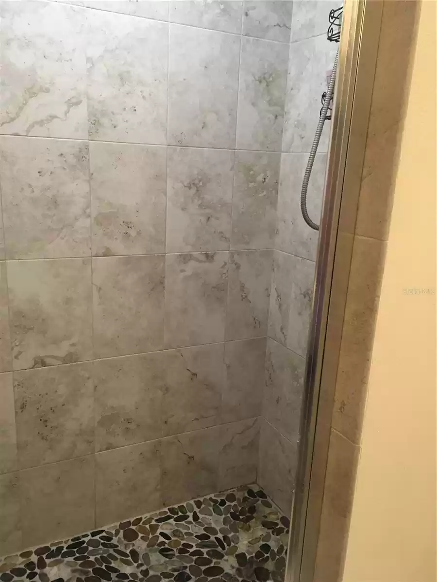 Primary bathroom shower