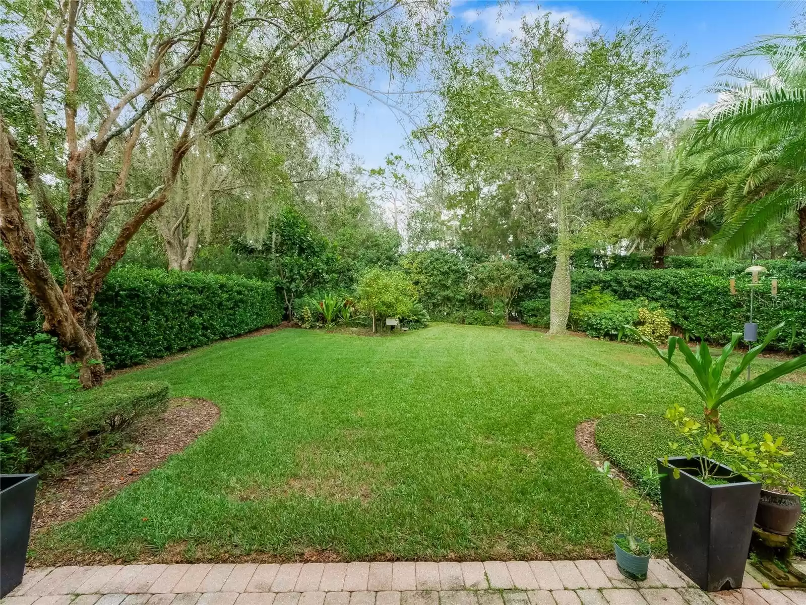 Patio & Backyard