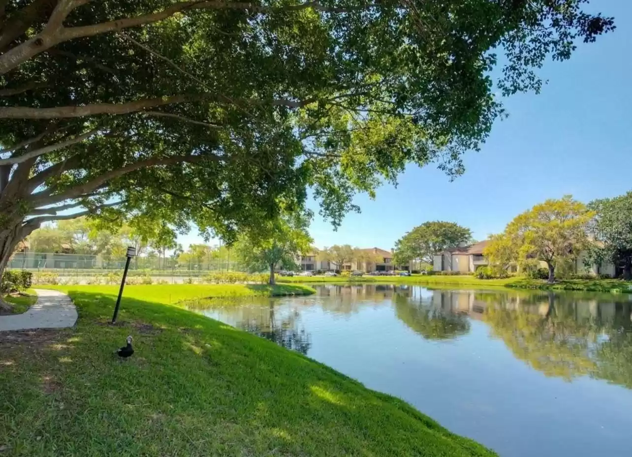 Walkway by lake