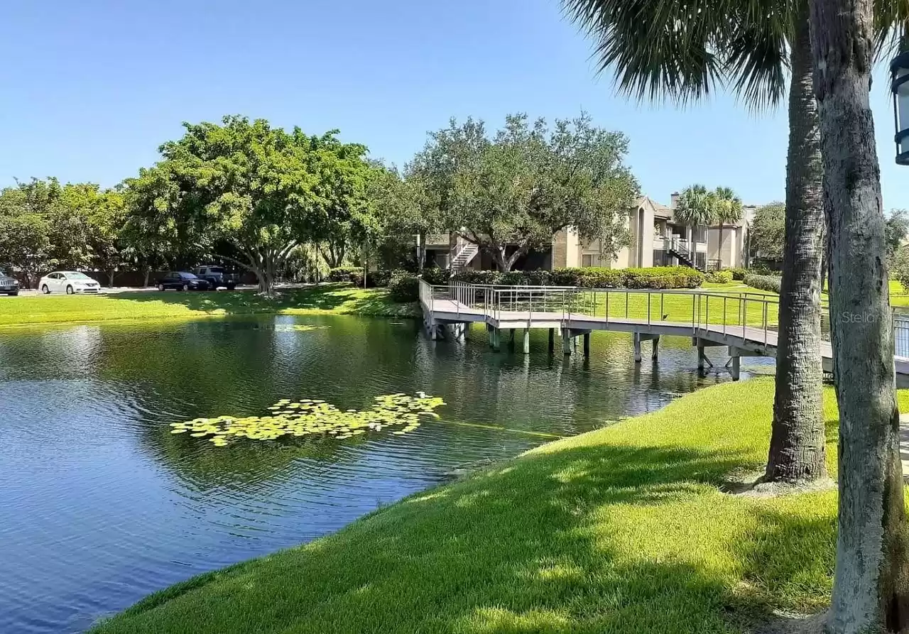 10263 GANDY BOULEVARD, SAINT PETERSBURG, Florida 33702, 1 Bedroom Bedrooms, ,1 BathroomBathrooms,Residential Lease,For Rent,GANDY,MFRU8239749