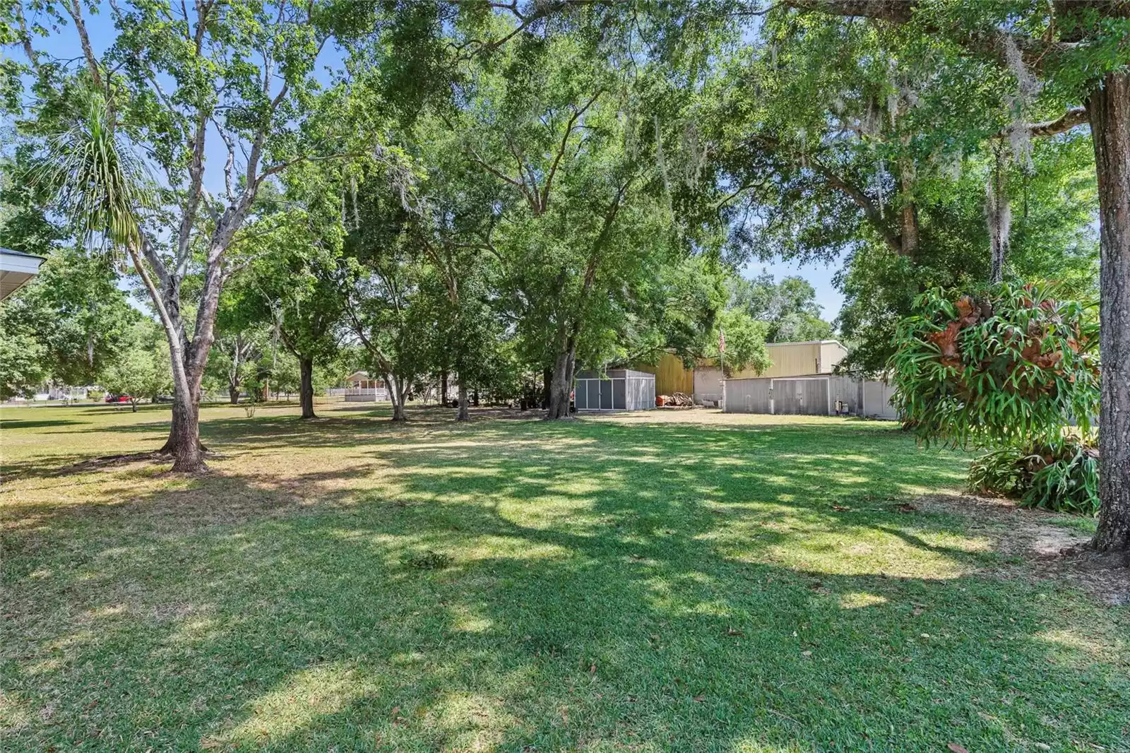 View of Back yard from Screened Porch