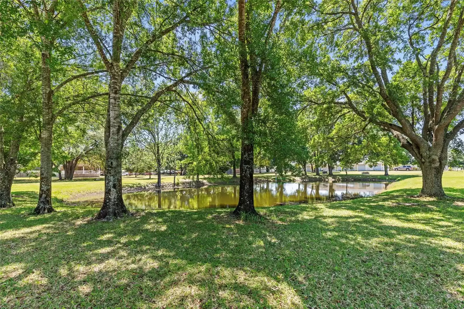 Beautiful property with pond & pasture area