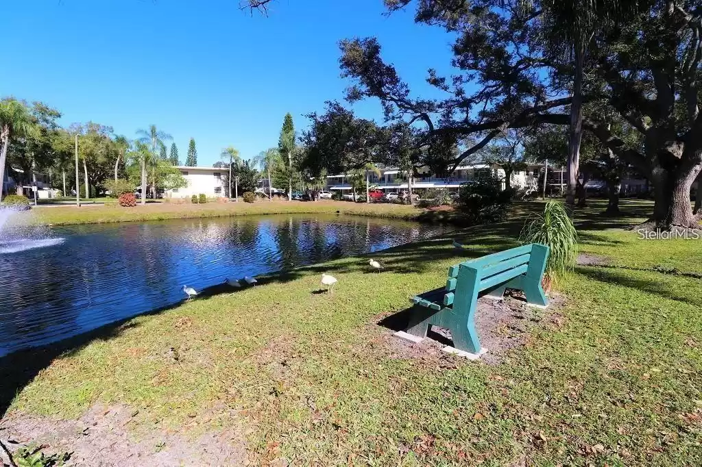 View of the community pond which is about 2 blocks/streets SE from this condo.