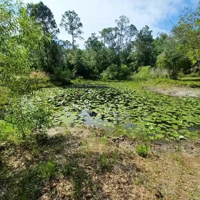 7117 NORWAY STREET, WEBSTER, Florida 33597, 3 Bedrooms Bedrooms, ,2 BathroomsBathrooms,Residential,For Sale,NORWAY,MFRT3521973