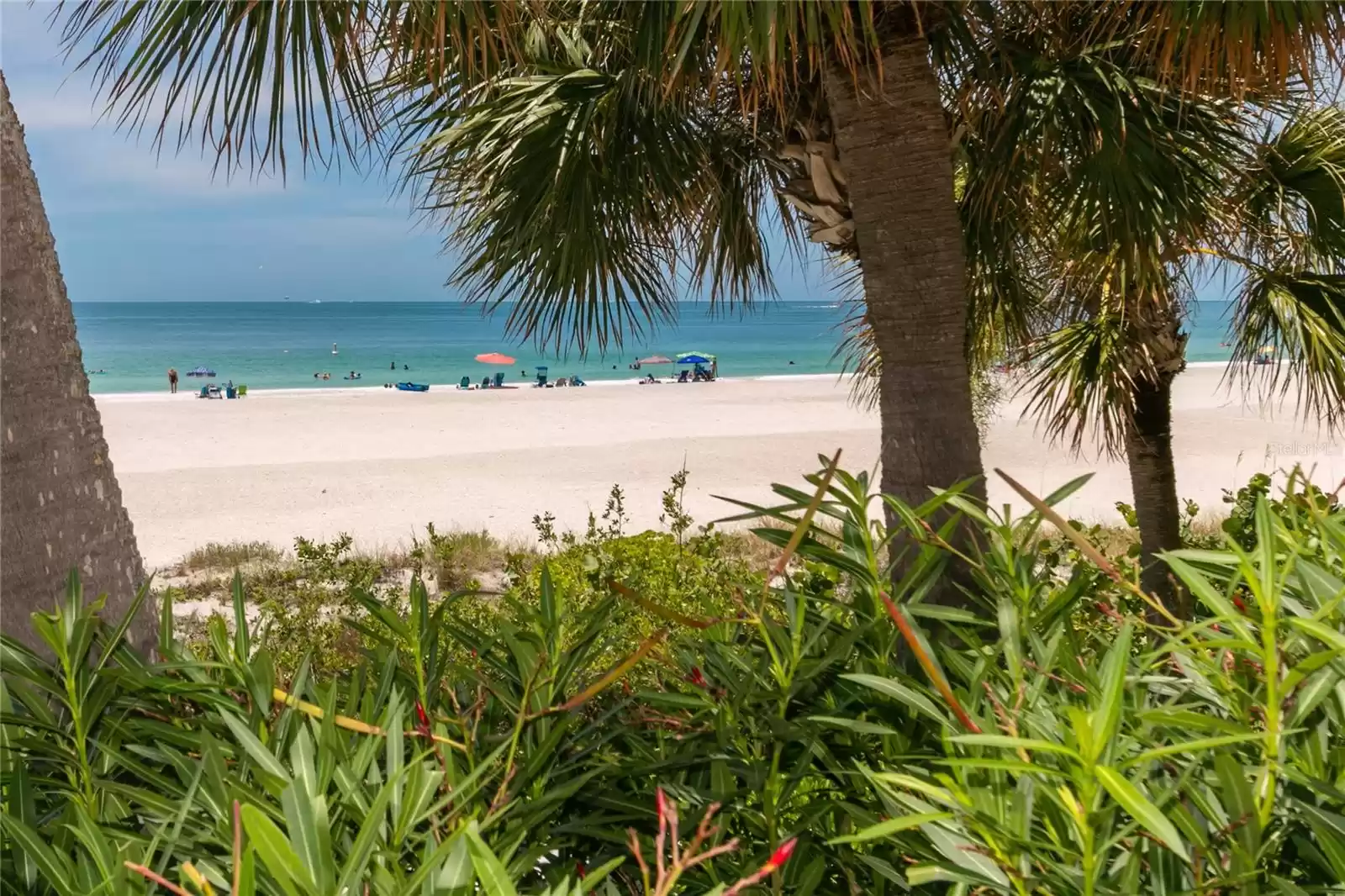 Sand Key Beach Views