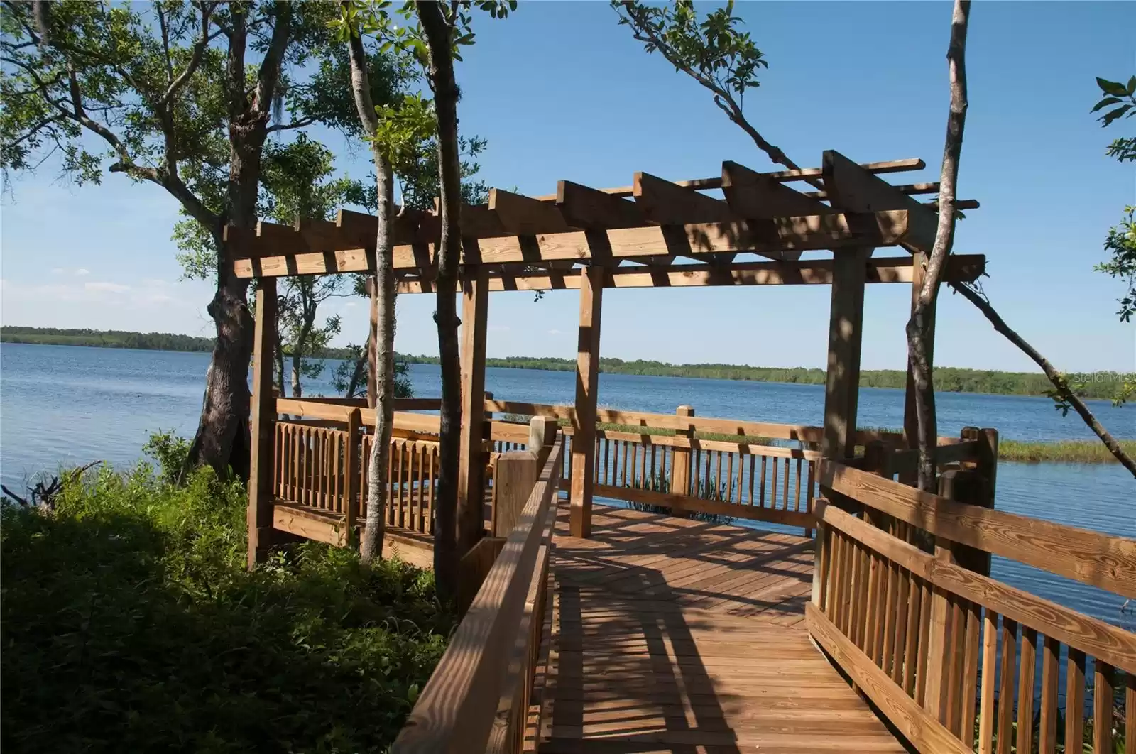 Harmony Dock and Buck Lake