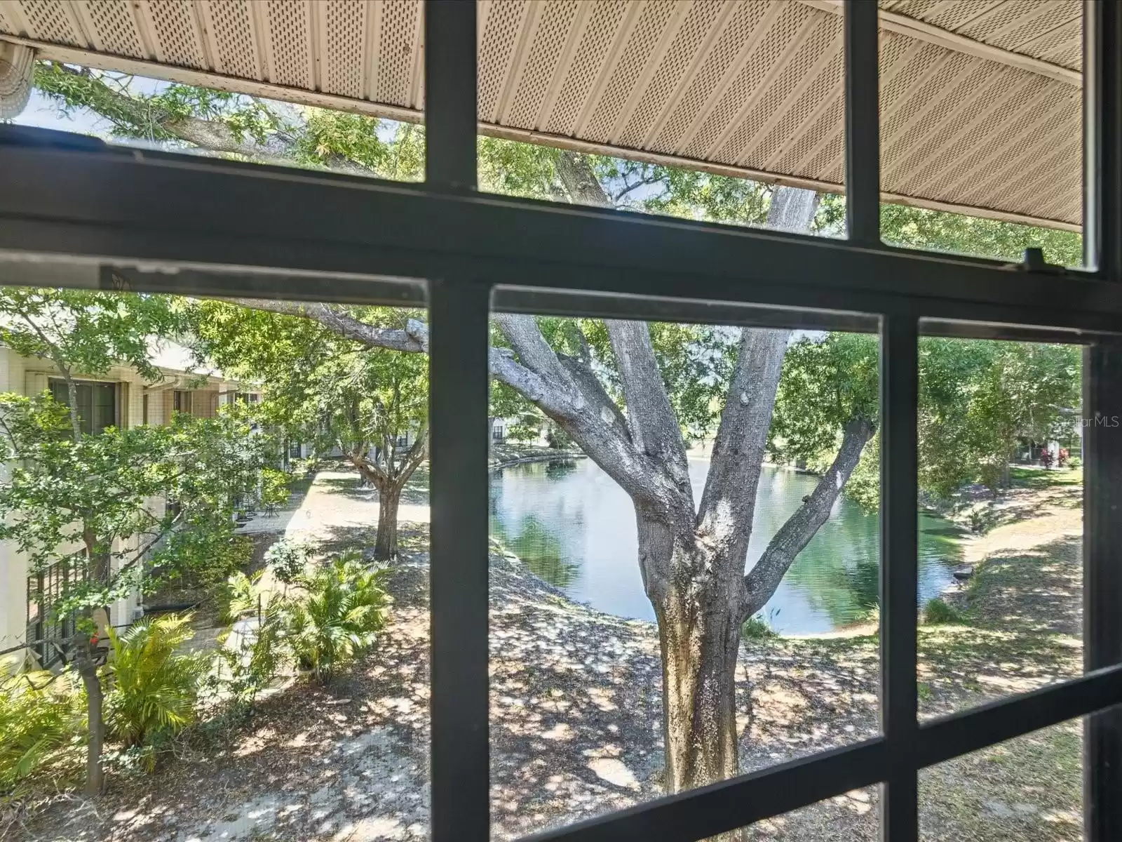 Pond View from Florida/ sun room