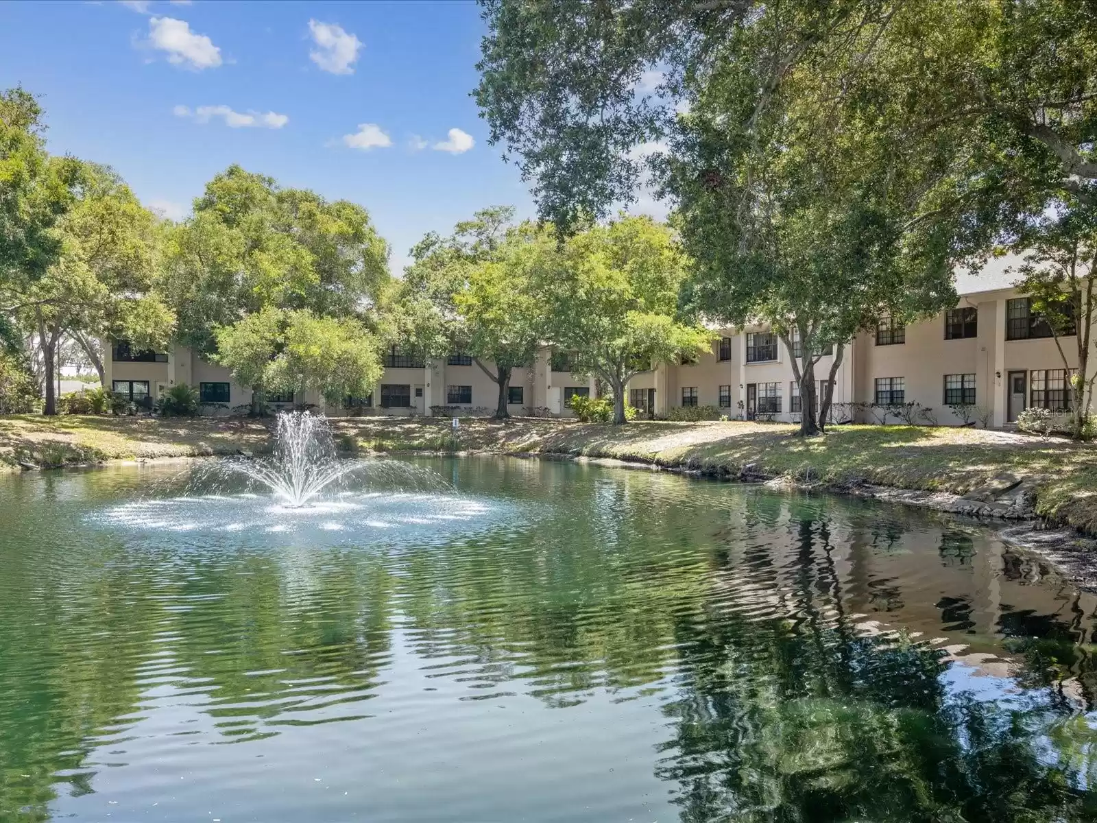 Pond behind the condo