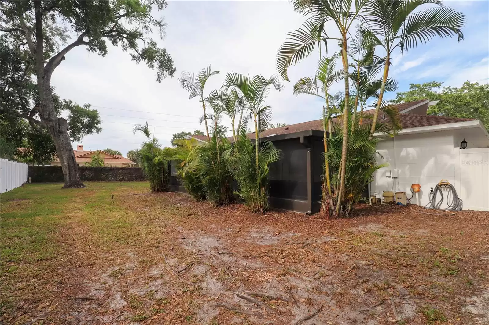 Palm trees for extra privacy for the patio.