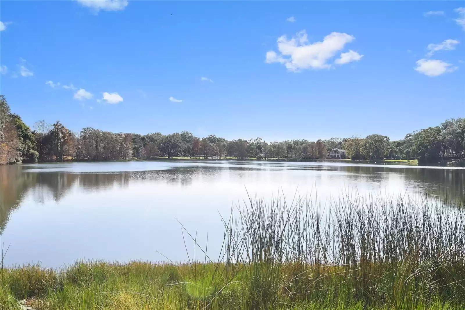 Lake Cherokee View