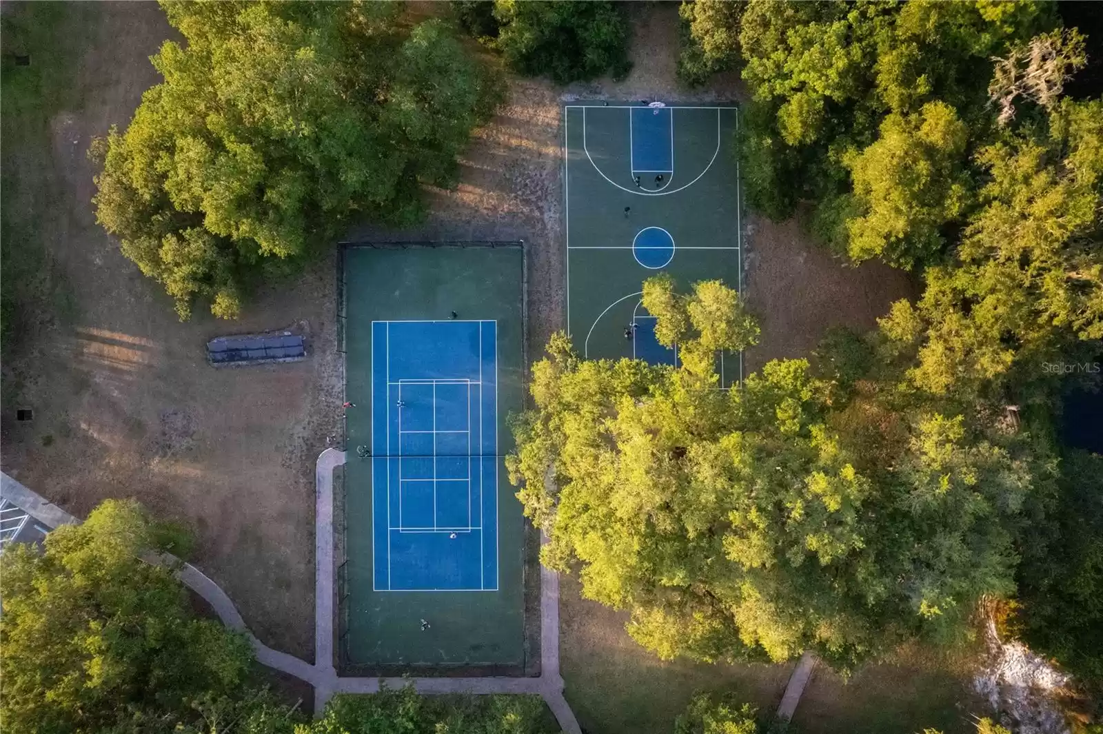 Tennis and Basketball