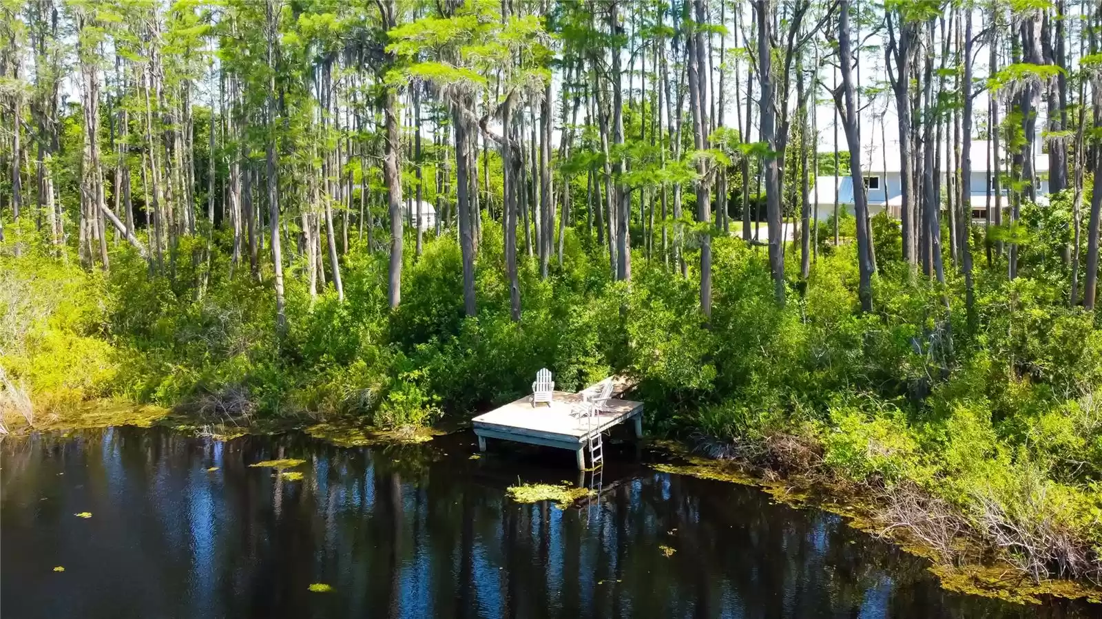 7510 MOBLEY ROAD, ODESSA, Florida 33556, 4 Bedrooms Bedrooms, ,2 BathroomsBathrooms,Residential,For Sale,MOBLEY,MFRT3525295