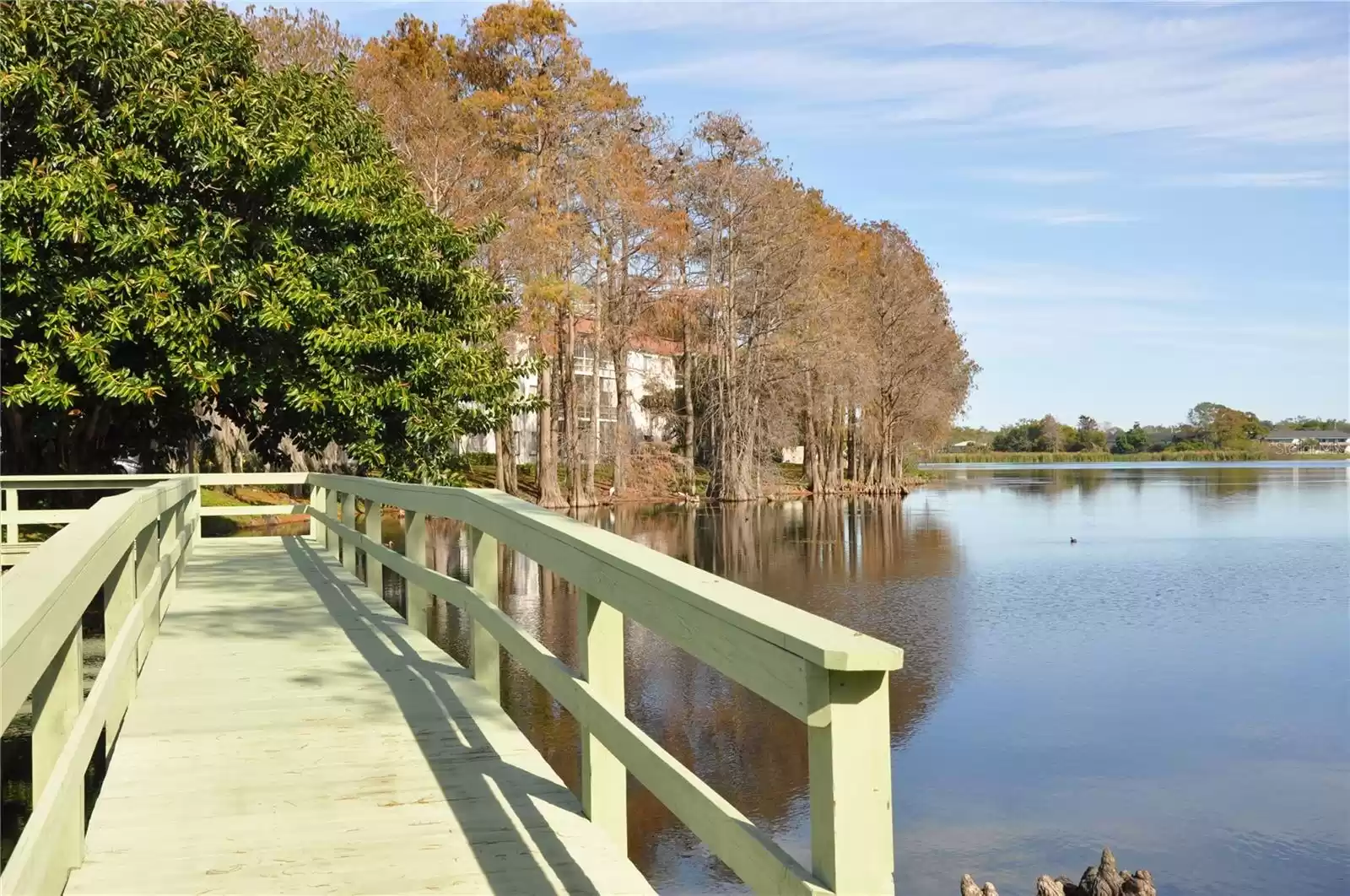 Fishing Dock