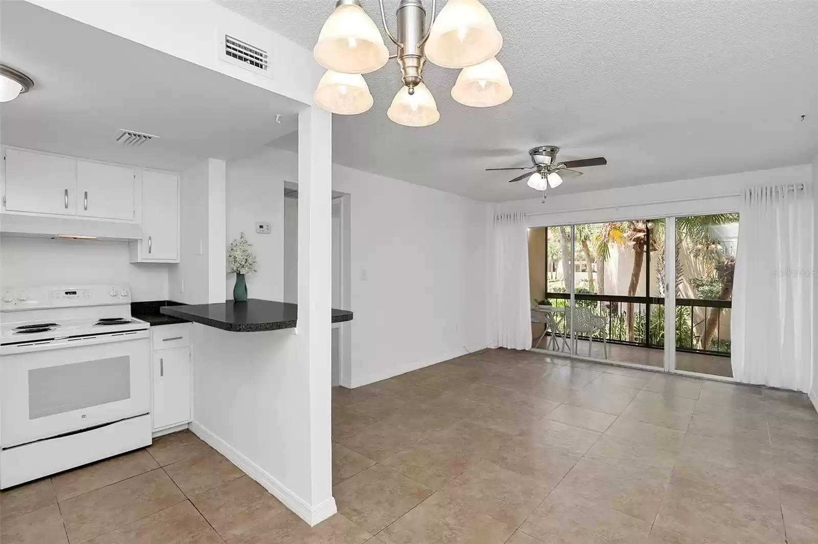 Kitchen / Living room combo