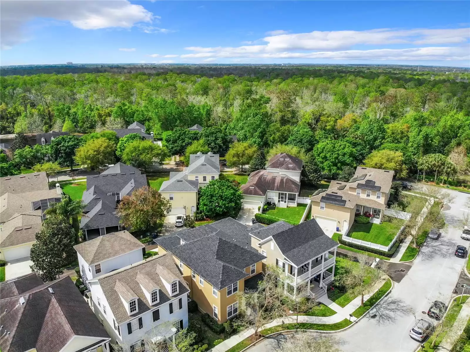 1134 TAPESTRY DRIVE, CELEBRATION, Florida 34747, 4 Bedrooms Bedrooms, ,2 BathroomsBathrooms,Residential,For Sale,TAPESTRY,MFRS5097229