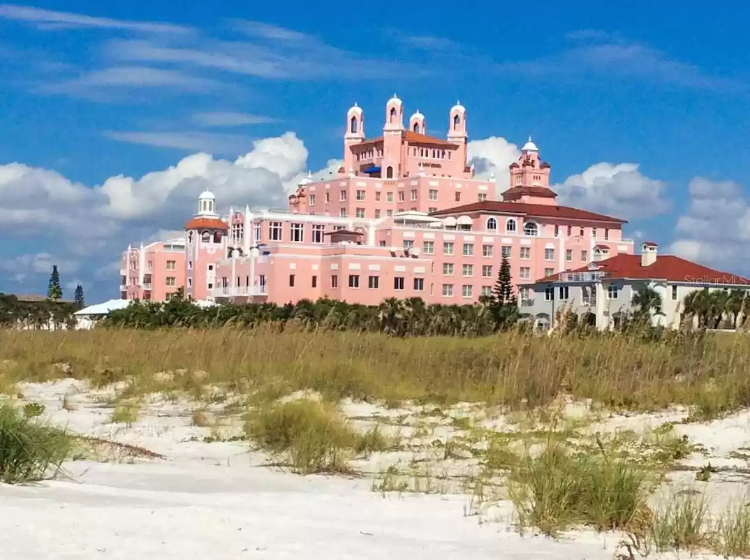 The Don Cesar