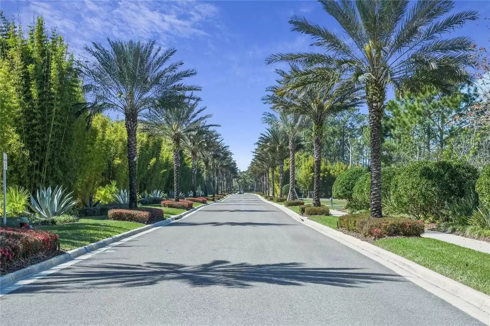 14501 GROVE RESORT AVENUE, WINTER GARDEN, Florida 34787, 2 Bedrooms Bedrooms, ,2 BathroomsBathrooms,Residential,For Sale,GROVE RESORT,MFRO6120866