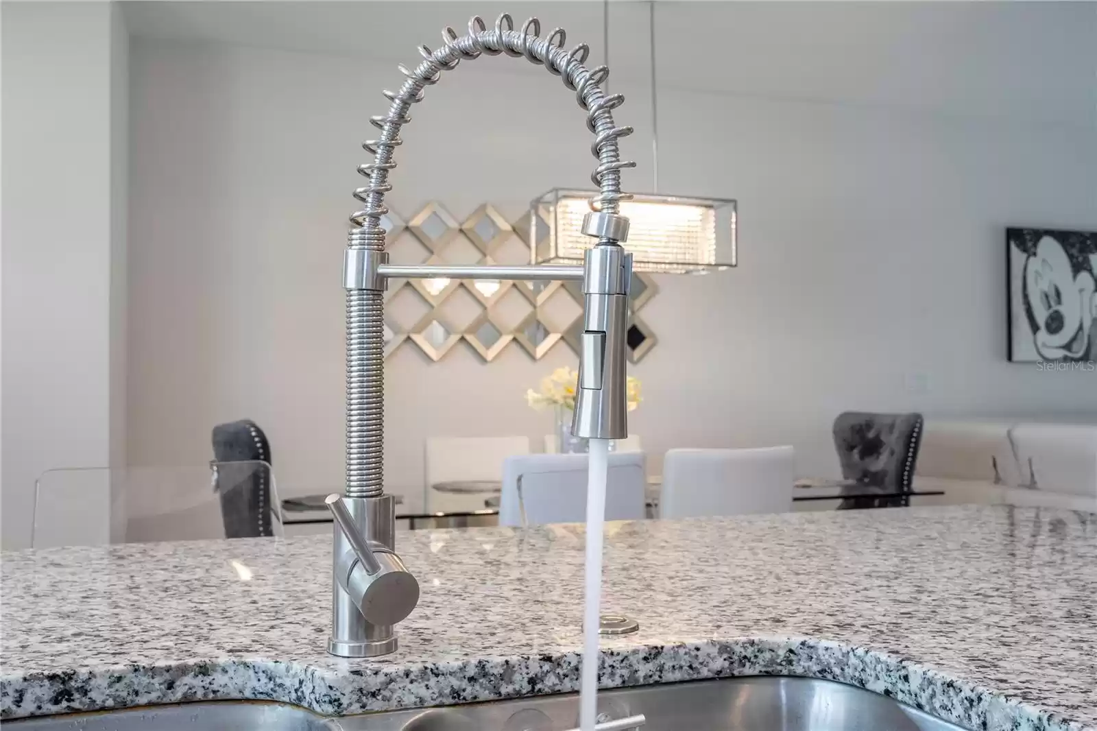 Upgraded kitchen faucet