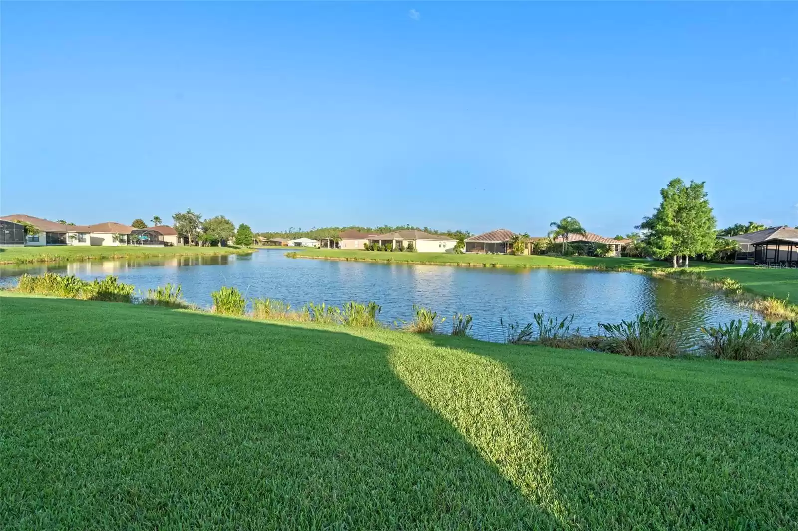 Pond View/ Backyard