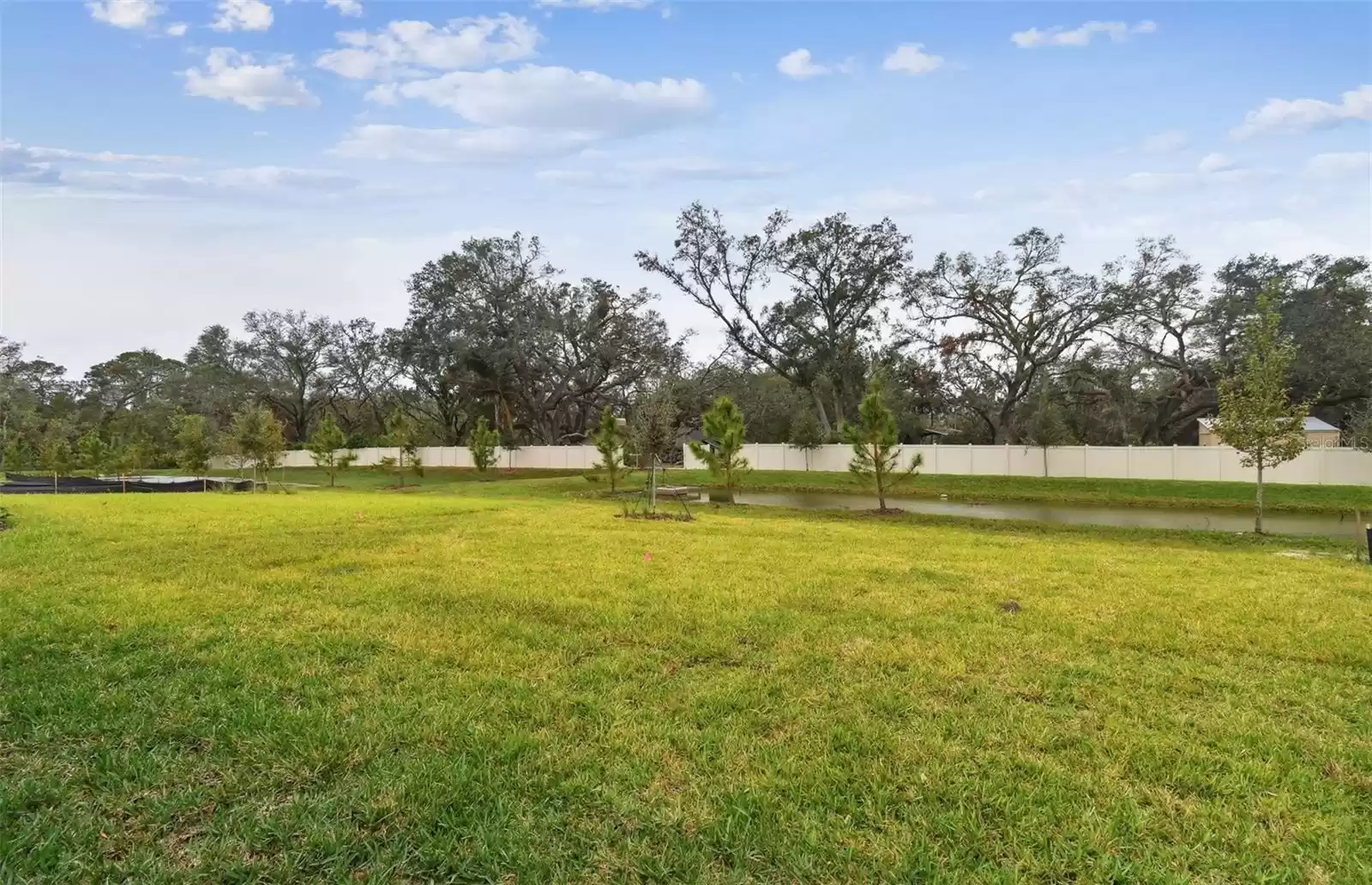 Privacy Backyard