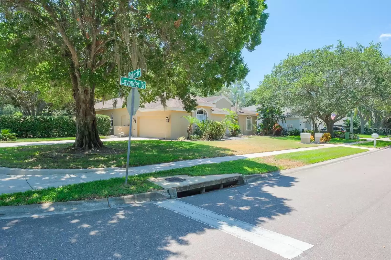 4427 LAVENDER DRIVE, PALM HARBOR, Florida 34685, 4 Bedrooms Bedrooms, ,3 BathroomsBathrooms,Residential,For Sale,LAVENDER,MFRU8244720