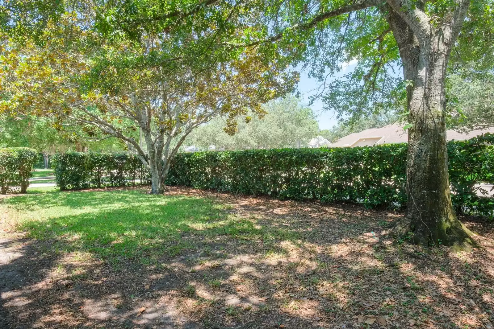 4427 LAVENDER DRIVE, PALM HARBOR, Florida 34685, 4 Bedrooms Bedrooms, ,3 BathroomsBathrooms,Residential,For Sale,LAVENDER,MFRU8244720